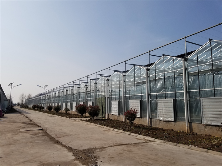 江蘇鹽城響水源怡種苗